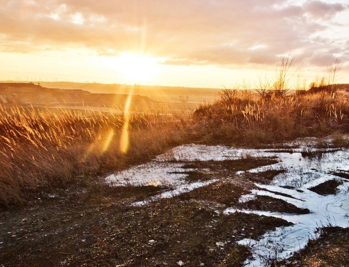 在线手机号接收