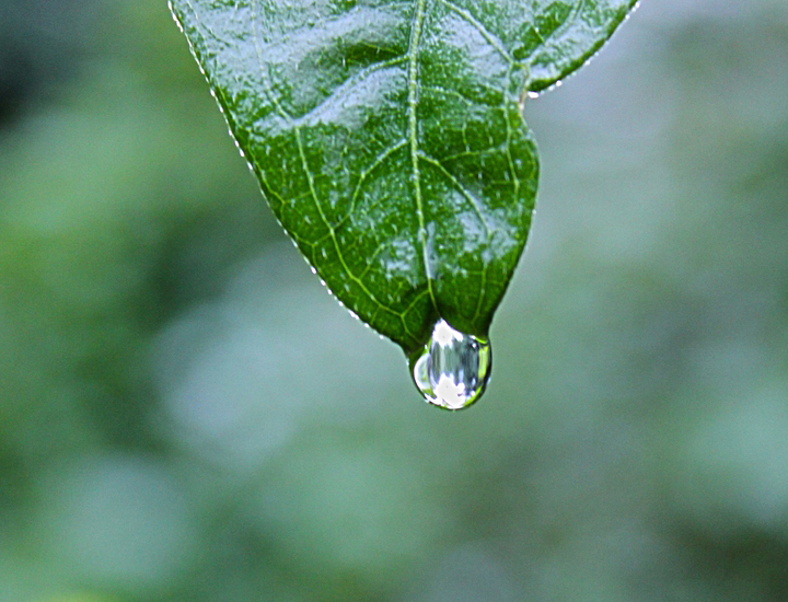 立即生效的云呼轰炸官网